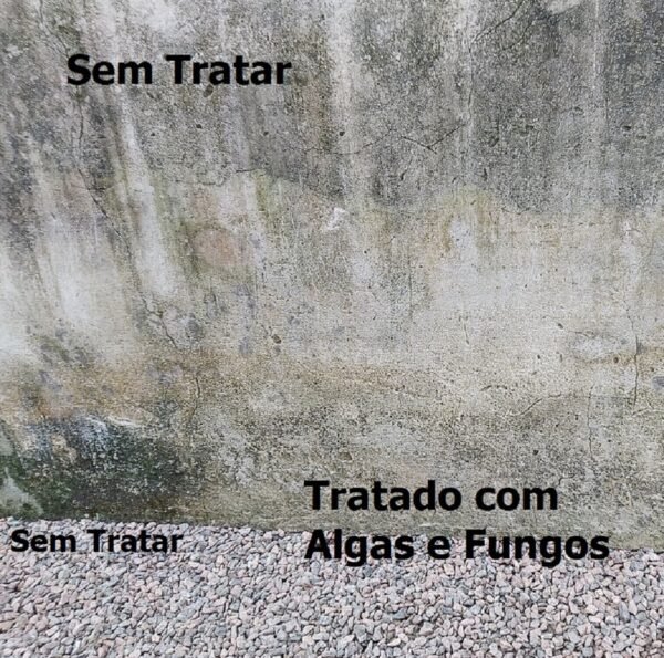 Removedor de Algas e Fungos Power Mármores Akemi 1,0 Lt - Image 2