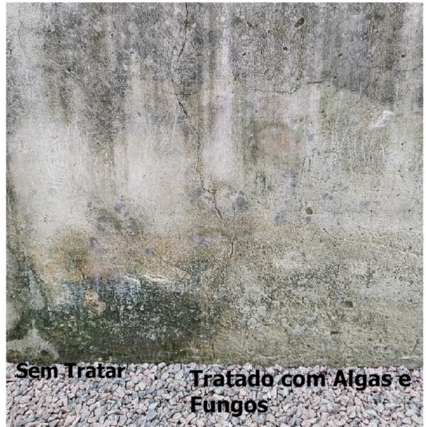Removedor de Algas e Fungos Power Mármores Akemi 1,0 Lt - Image 3